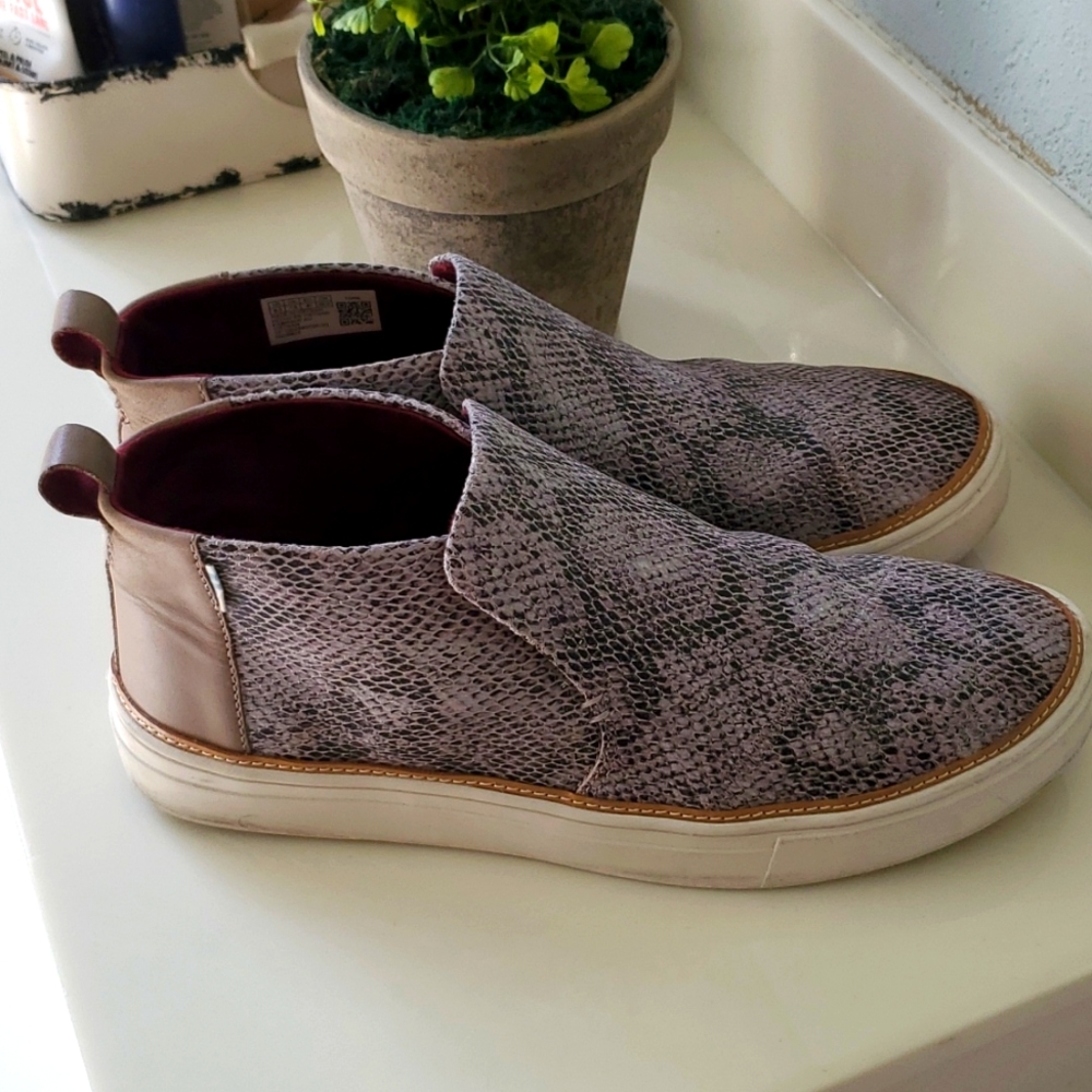 Gray Toms